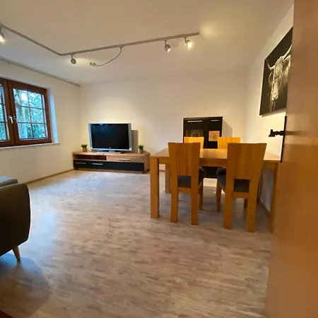 Apartment Schwarzwaldnest Dachsberg