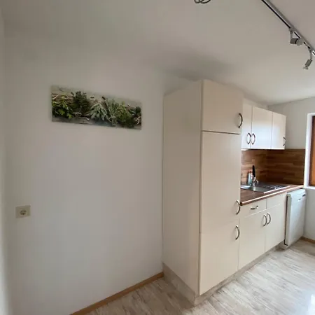Schwarzwaldnest Dachsberg *